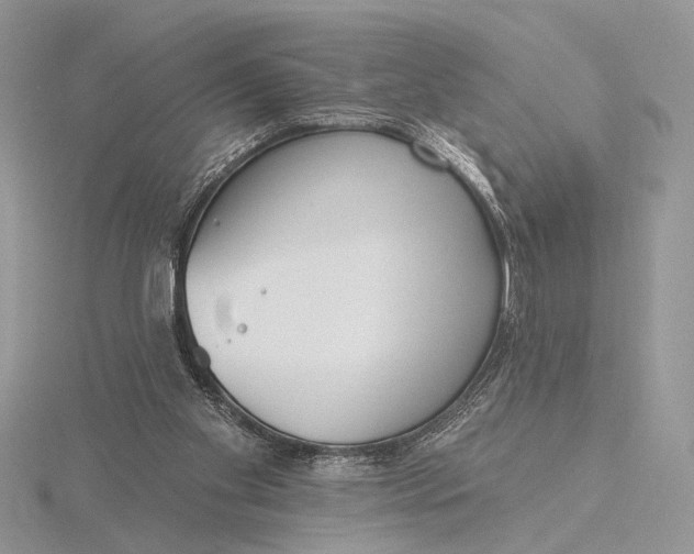 X0000116150109200912071312