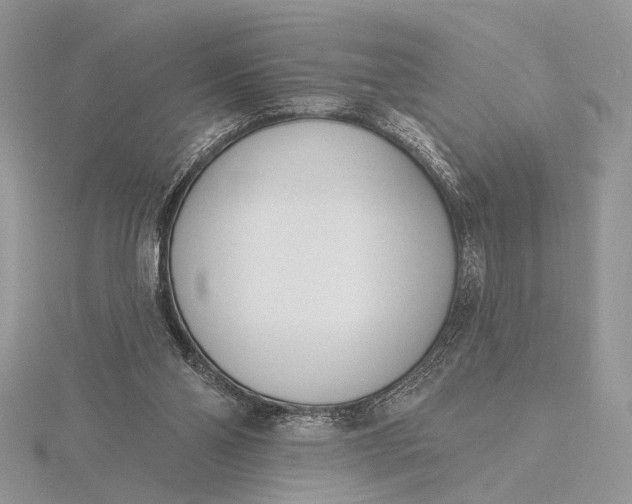 X0000116150110200912071312