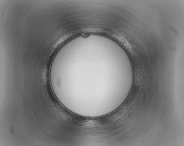 X0000116150111200912071312