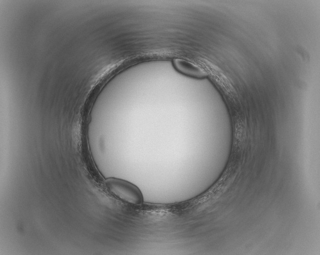 X0000116150112200912071312