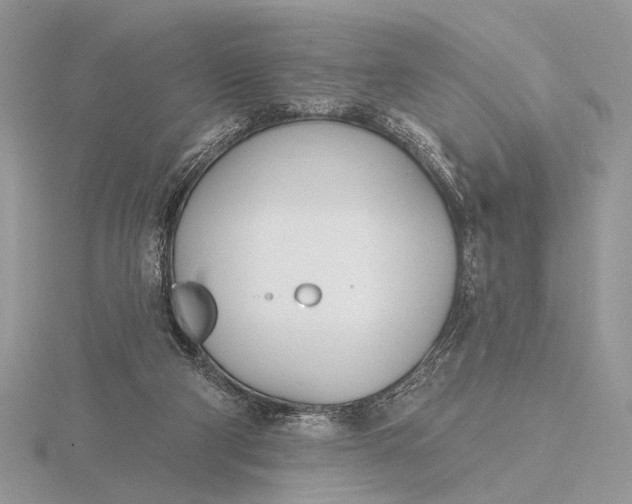 X0000116150114200912071312