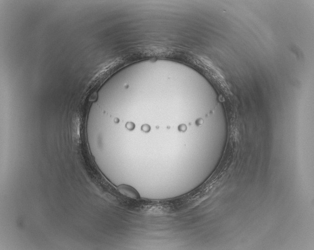 X0000116150115200912071312