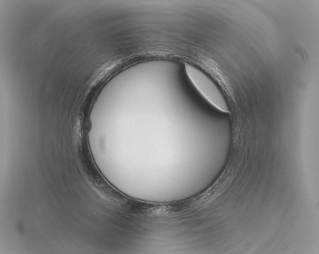 X0000116150116200912071312