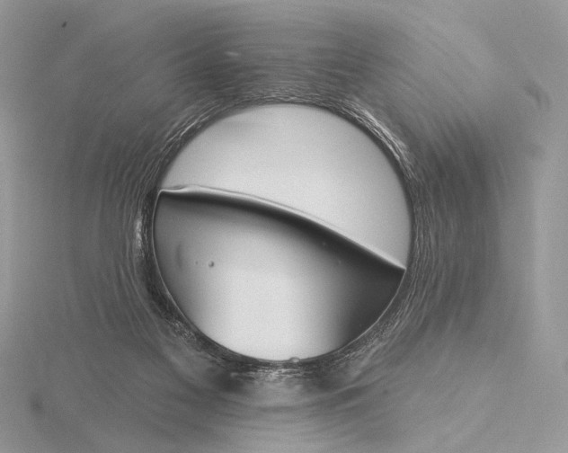 X0000116150117200912071312