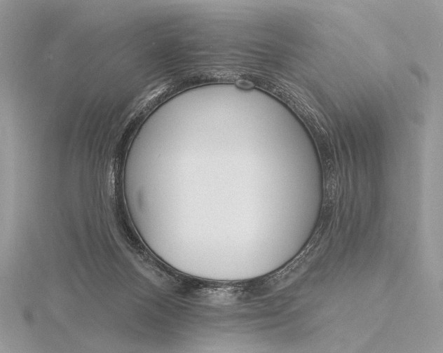 X0000116150120200912071312