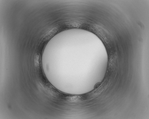 X0000116150122200912071312