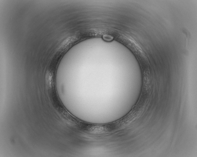 X0000116150123200912071312