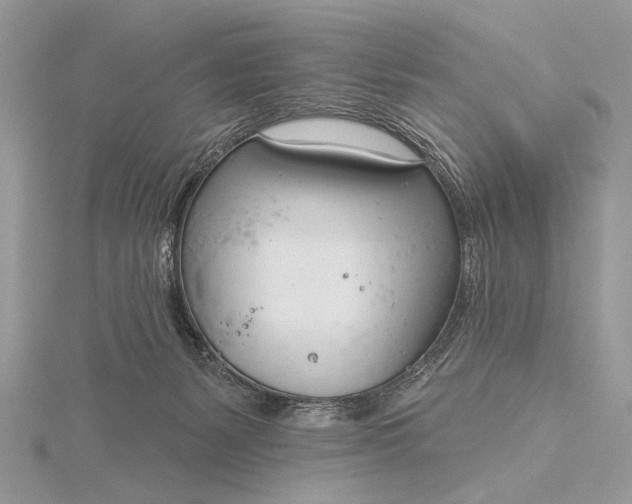 X0000116150127200912071312