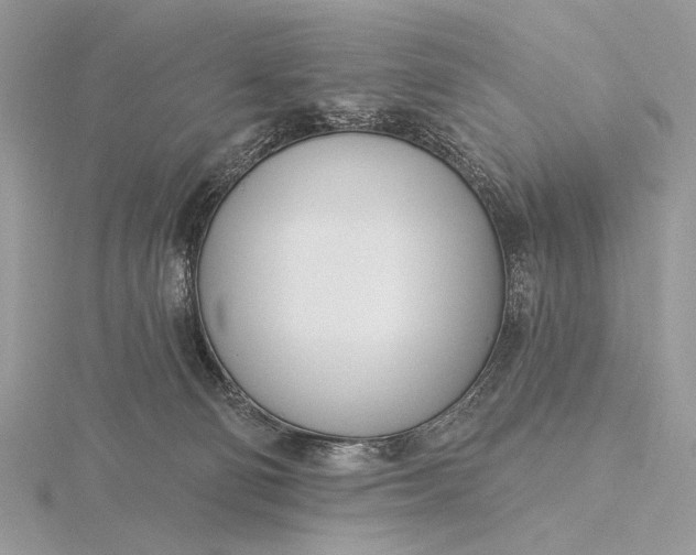 X0000116150130200912071312