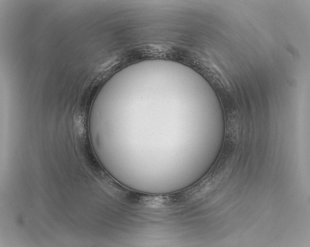 X0000116150131200912071312