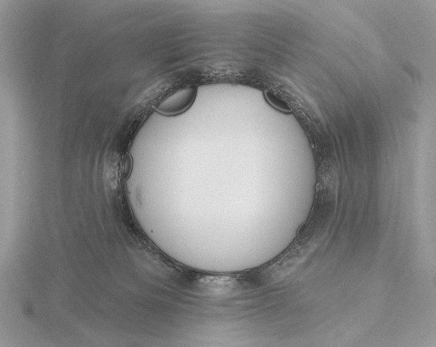 X0000116150133200912071312