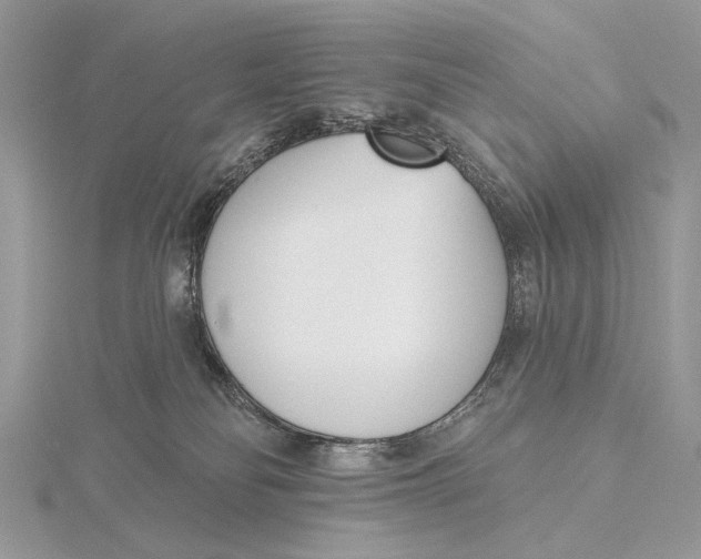 X0000116150134200912071312