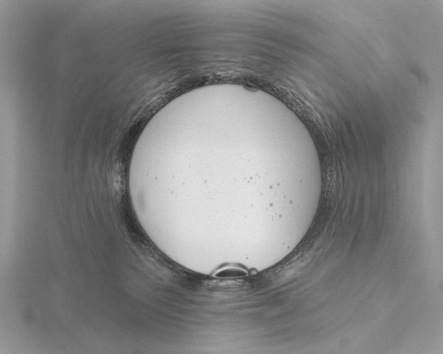 X0000116150135200912071312