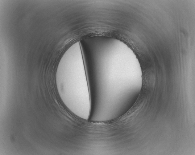 X0000116150137200912071312