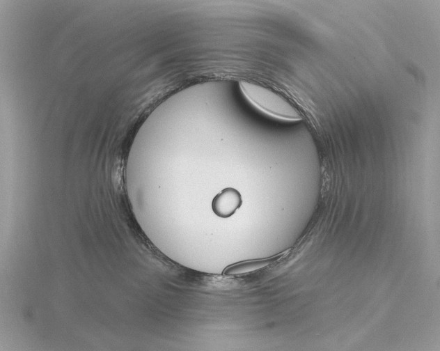 X0000116150141200912071312