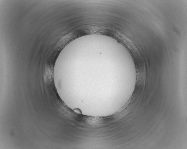 X0000116150142200912071312