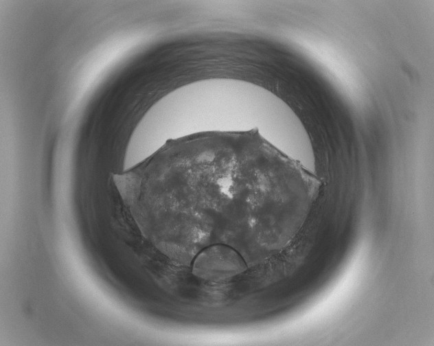 X0000116150143200912071312