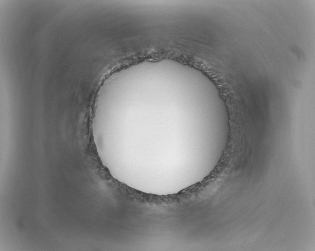 X0000116150144200912071312