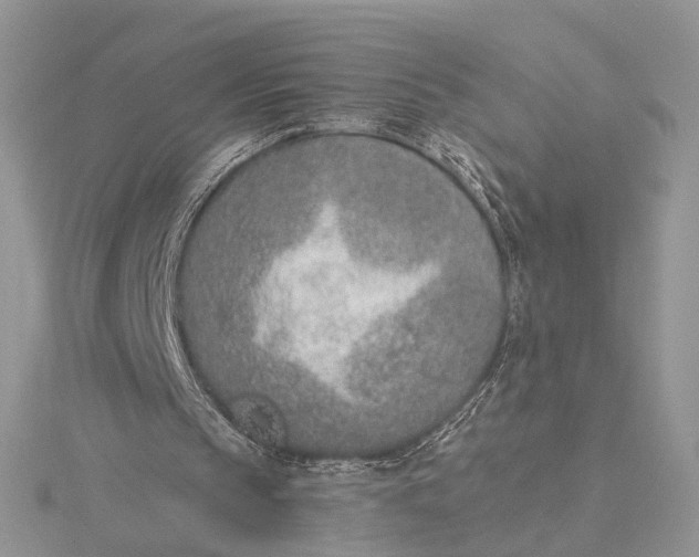 X0000116150145200912071311