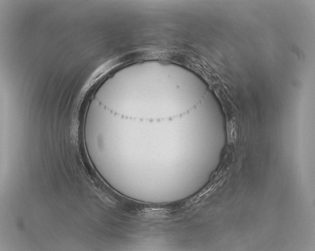 X0000116150150200912071311