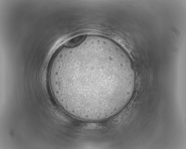 X0000116150151200912071311