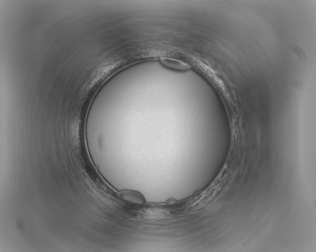 X0000116150154200912071311