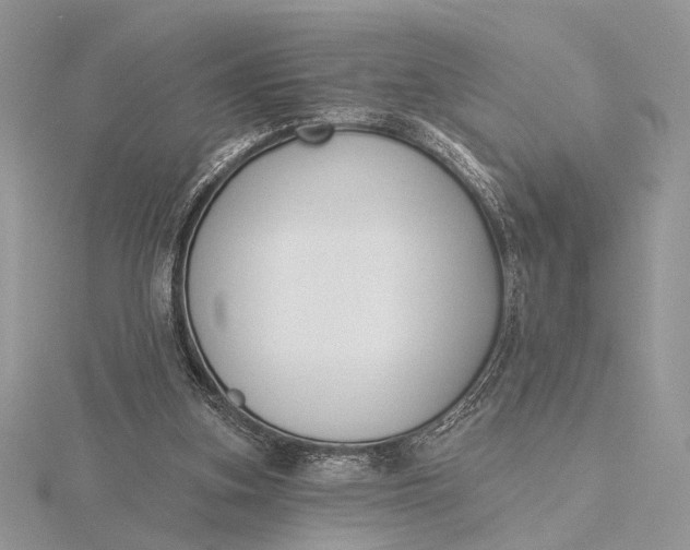 X0000116150155200912071311