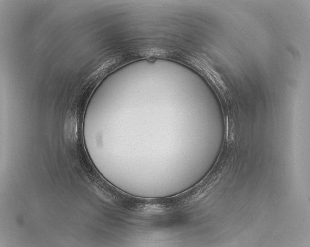 X0000116150157200912071311