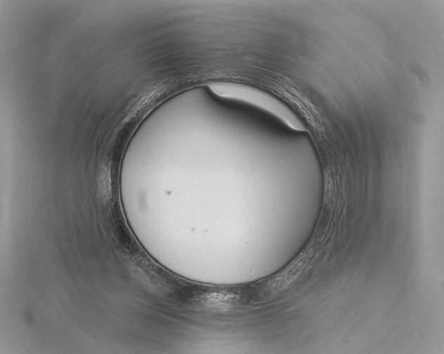 X0000116150158200912071311