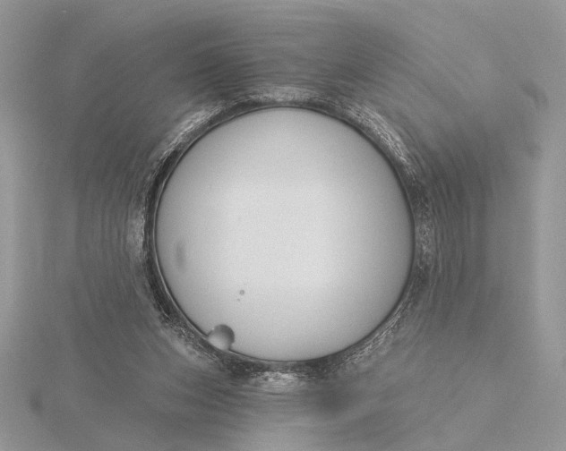 X0000116150159200912071311