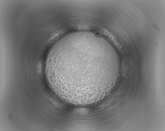 X0000116150161200912071311