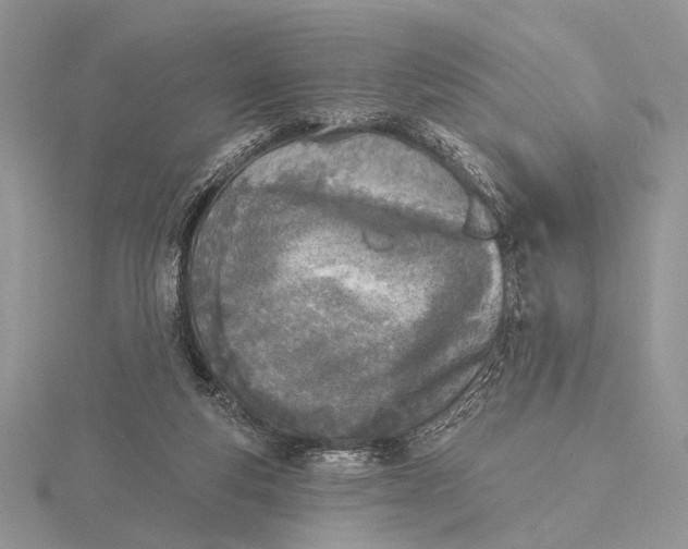 X0000116150163200912071311