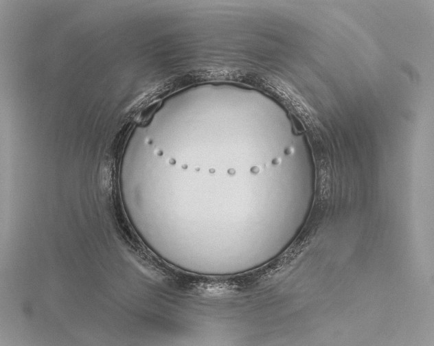 X0000116150165200912071311