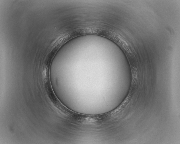 X0000116150166200912071311