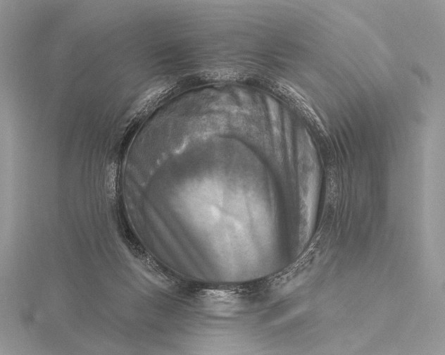 X0000116150167200912071311