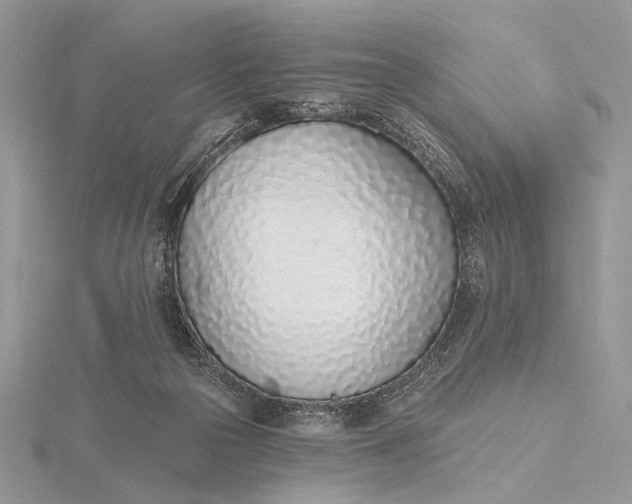 X0000116150169200912071311