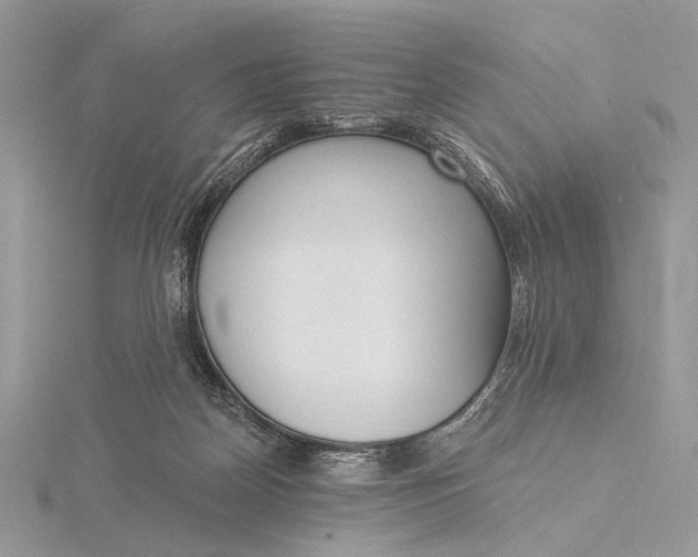 X0000116150170200912071311