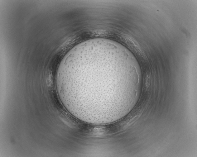 X0000116150173200912071311