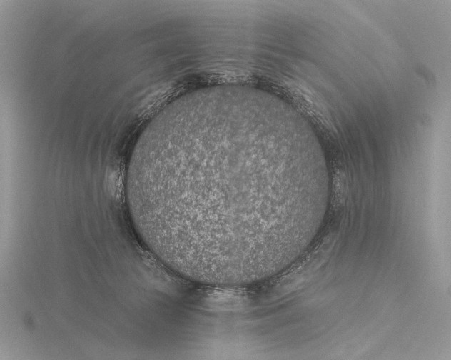 X0000116150177200912071311