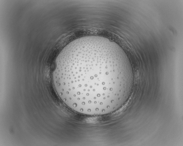 X0000116150178200912071311