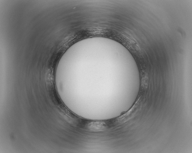 X0000116150179200912071311