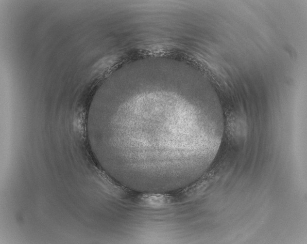 X0000116150181200912071311