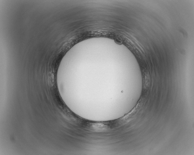 X0000116150183200912071311