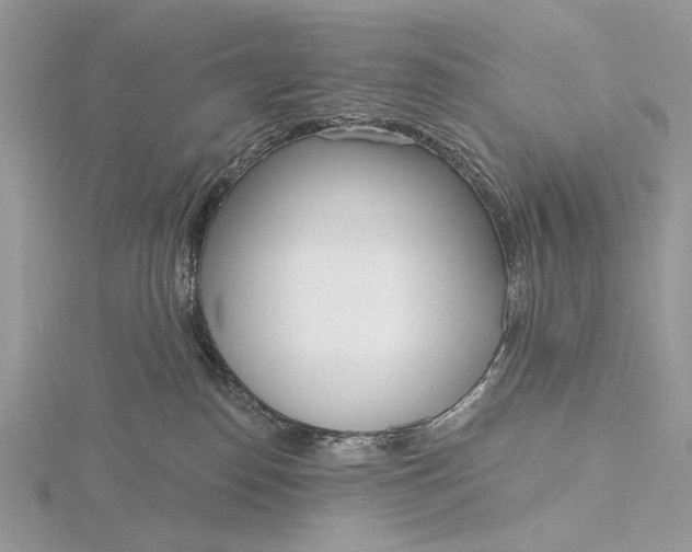 X0000116150186200912071311