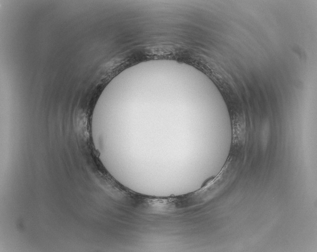 X0000116150187200912071311