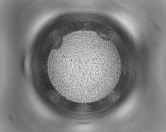 X0000116150189200912071311