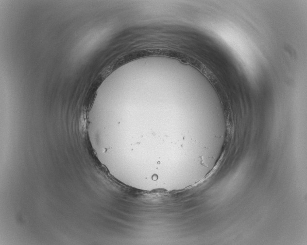 X0000116150190200912071312