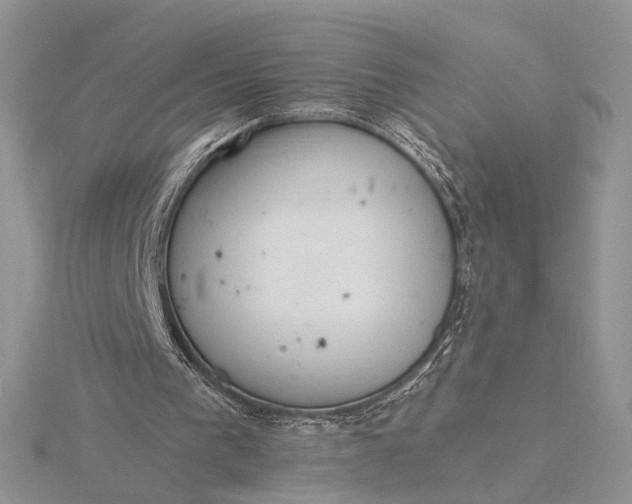 X0000116150193200912071311