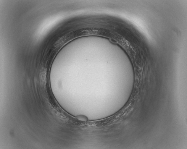 X0000116150194200912071311