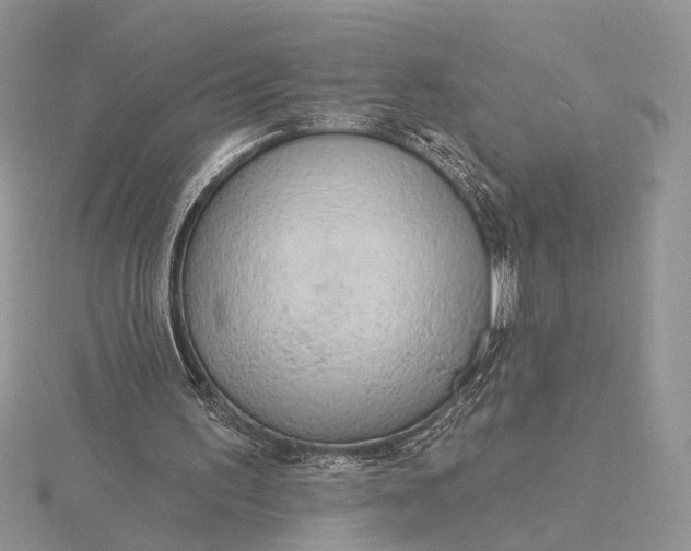 X0000116150195200912071311